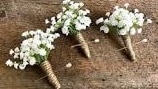 Baby's Breath Boutonniere